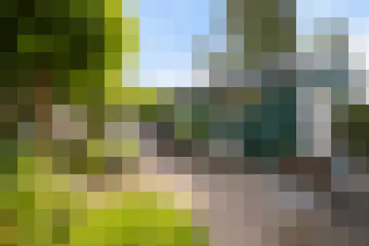Kerkstraat 7 Rheden thumbnail 27