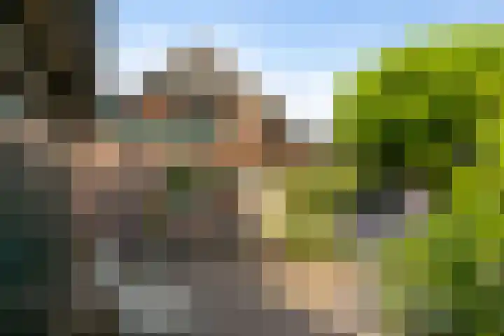 Kerkstraat 7 Rheden thumbnail 28