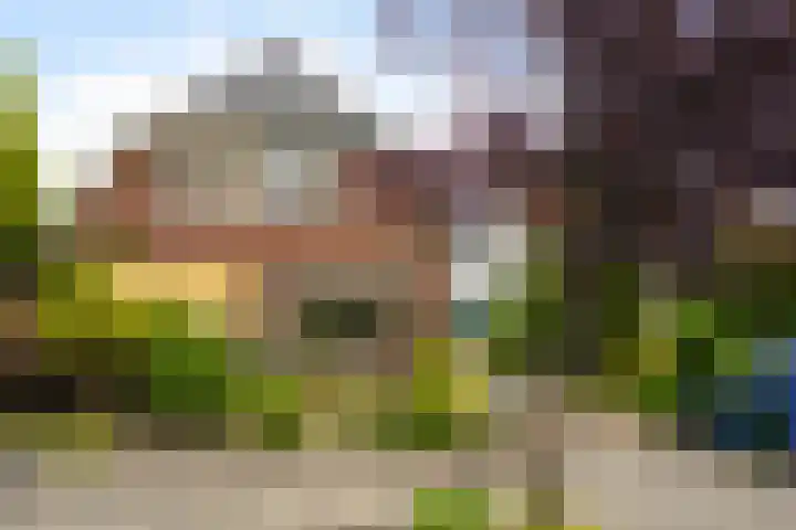 Kerkstraat 7 Rheden thumbnail 29