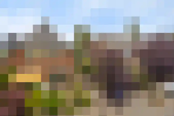 Kerkstraat 7 Rheden thumbnail 30