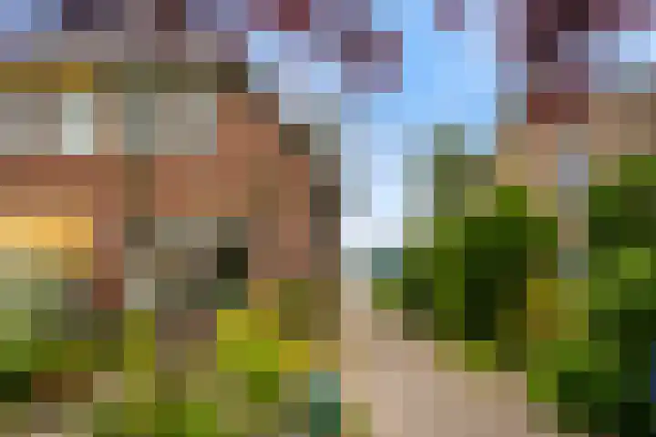 Kerkstraat 7 Rheden thumbnail 4
