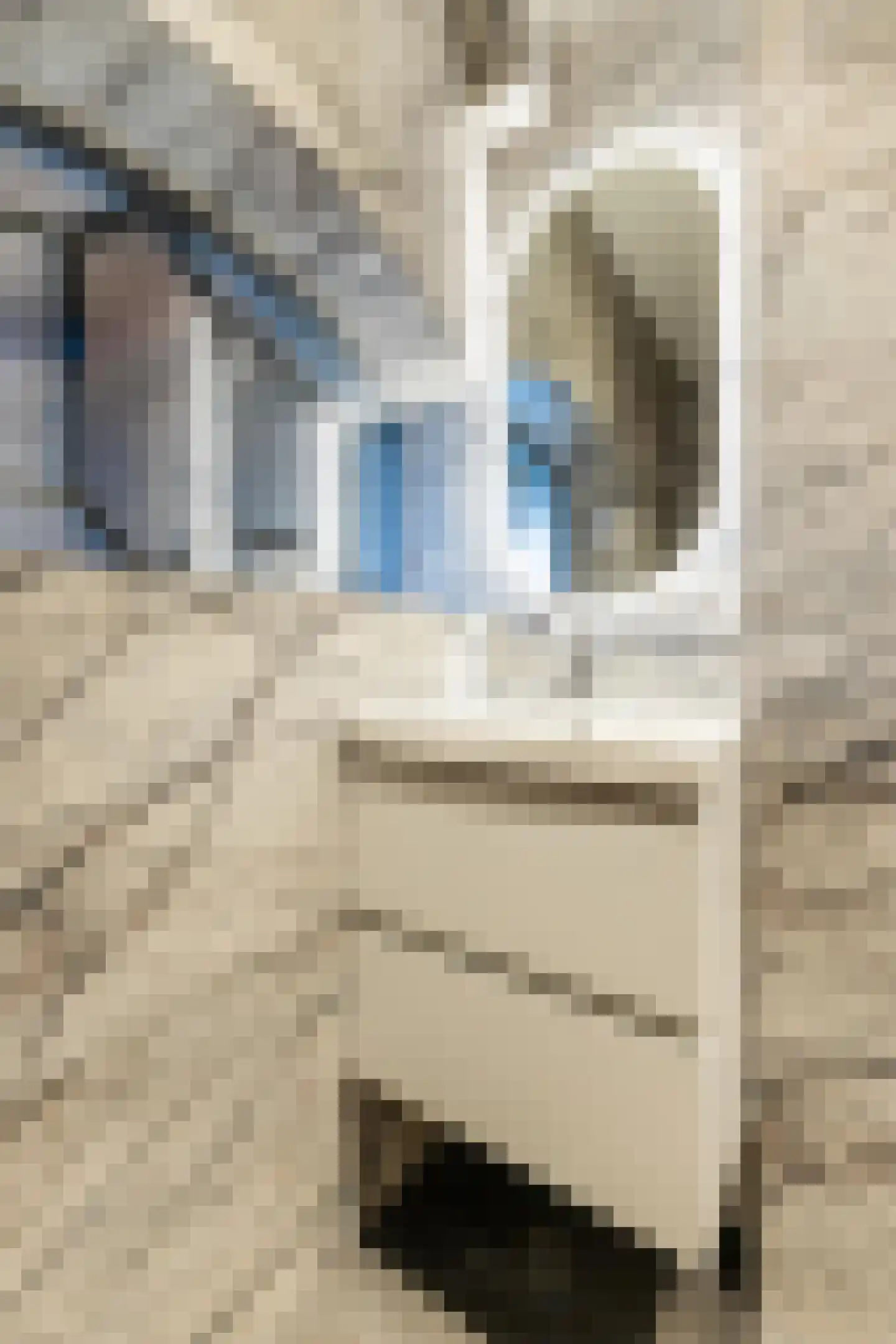 Kerkstraat 75 Oude Wetering thumbnail 26