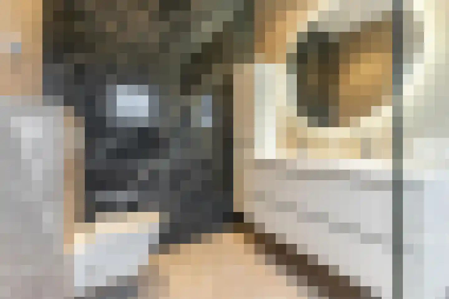 Kerkstraat 75 Oude Wetering thumbnail 38