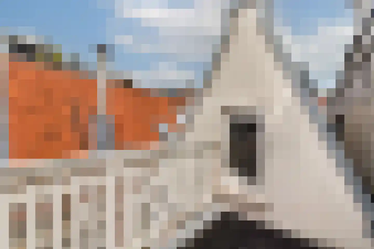 Kerkstraat 76 Amsterdam thumbnail 28