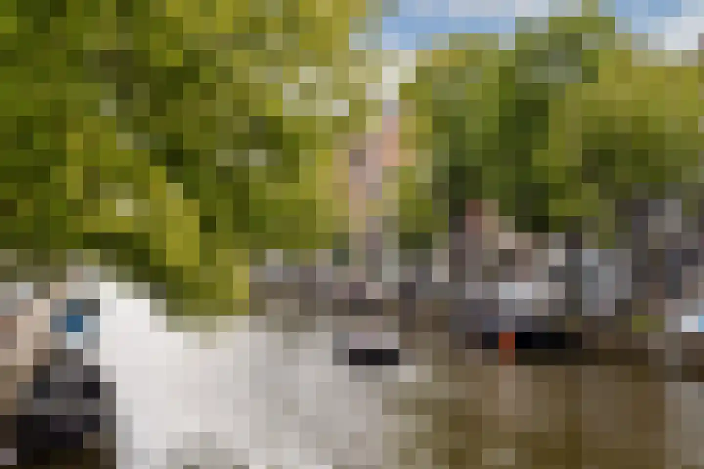 Kerkstraat 76 Amsterdam thumbnail 31