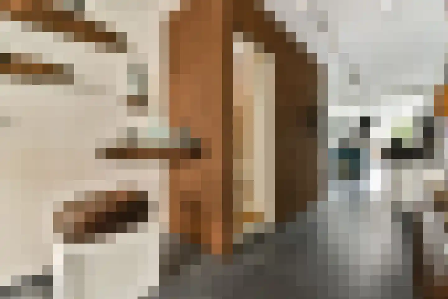 Kerkstraat 76 Amsterdam thumbnail 7