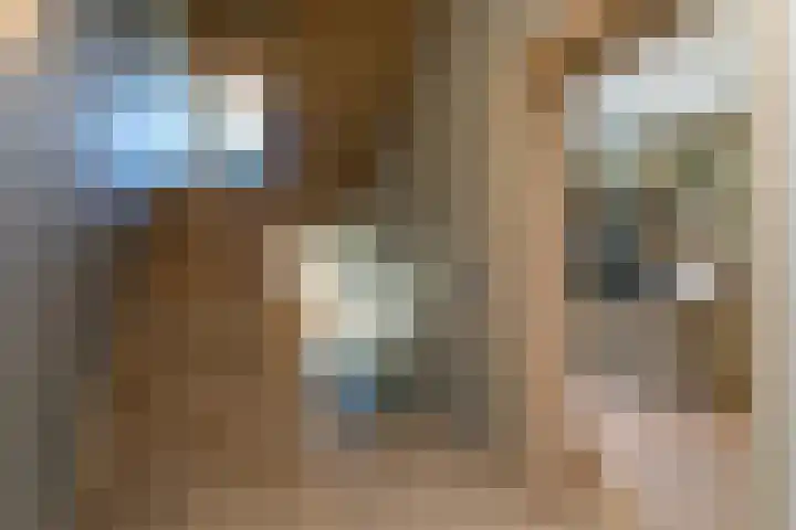 Kerkstraat 8 Vaals thumbnail 20