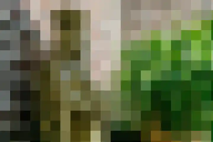 Kerkstraat 8 Vaals thumbnail 35