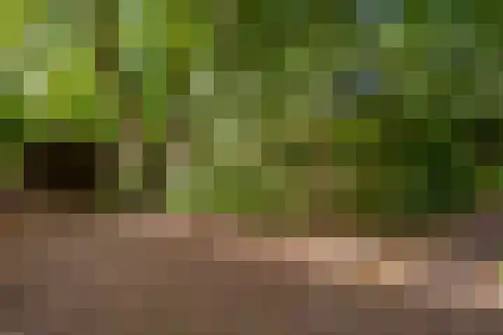 Kerkstraat 82 Zeeland thumbnail 4