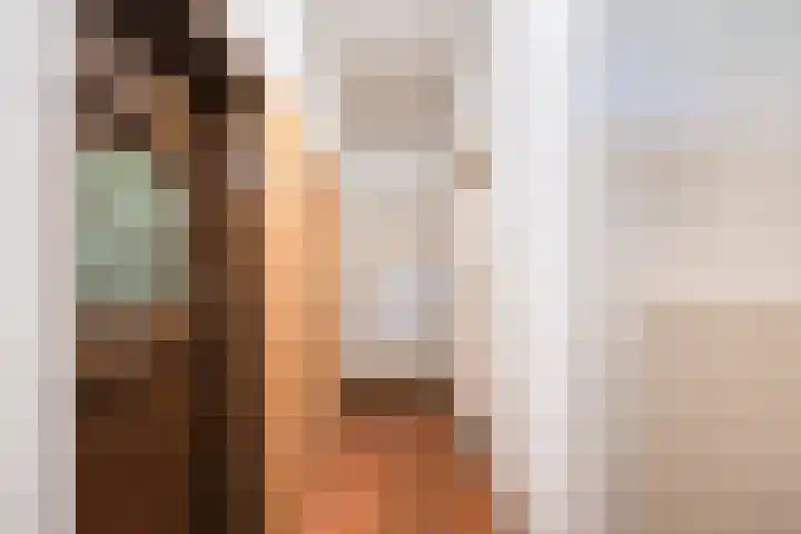 Kerkstraat 82 Zeeland thumbnail 8