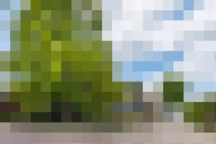 Kerkstraat 83 Zeeland thumbnail 66