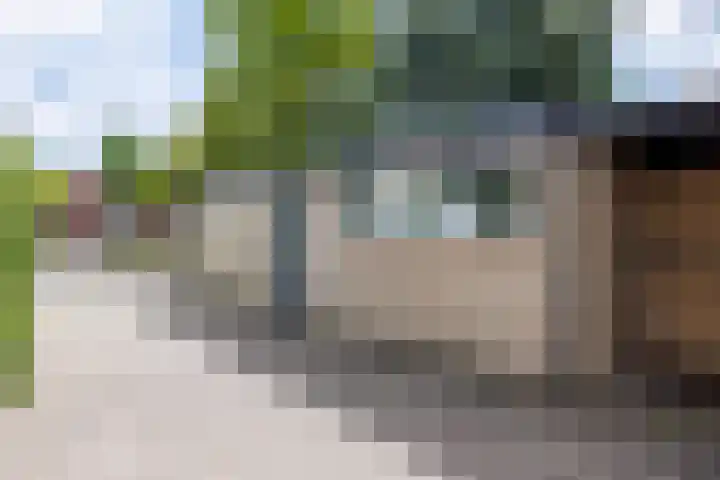 Kerkstraat 83 Zeeland thumbnail 7