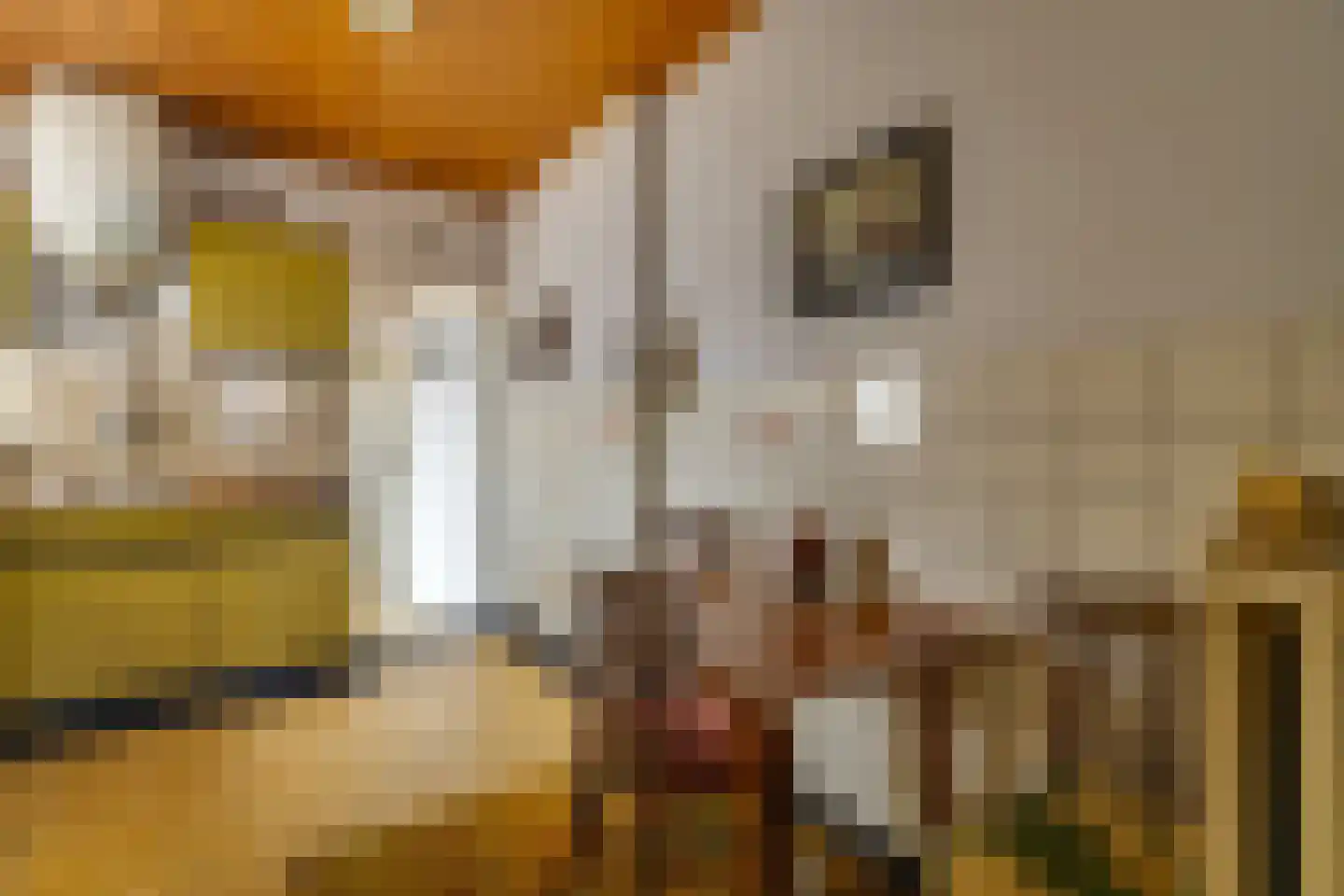 Kerkstraat 86 a Sprang-Capelle thumbnail 11