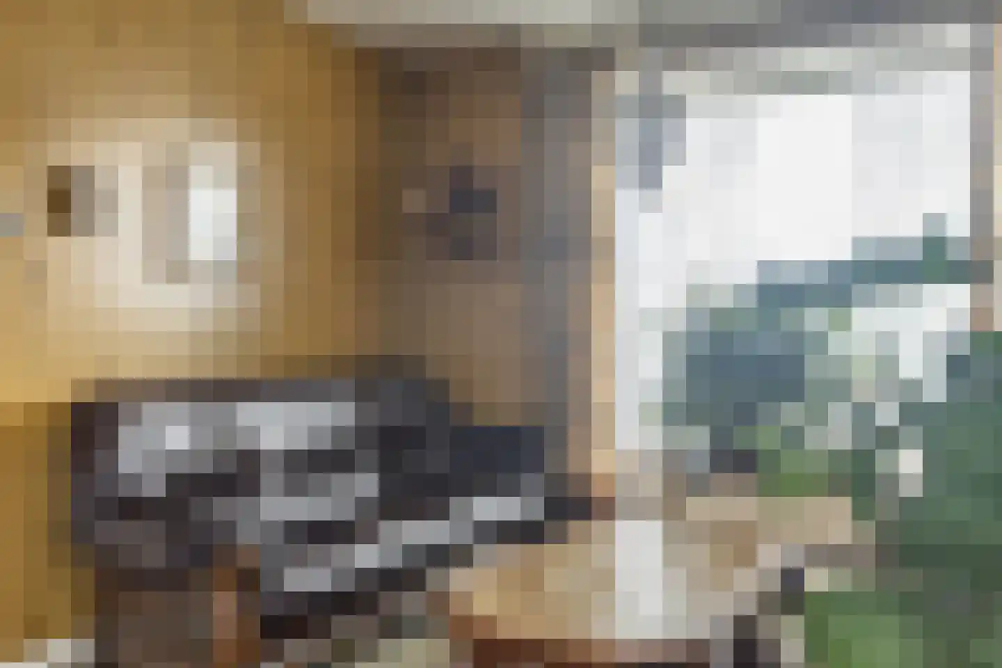 Kerkstraat 86 a Sprang-Capelle thumbnail 5