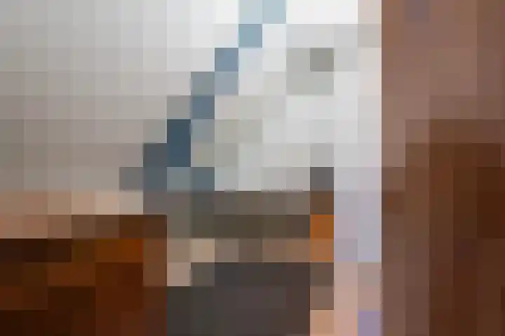 Kerkstraat 9 Drempt thumbnail 37