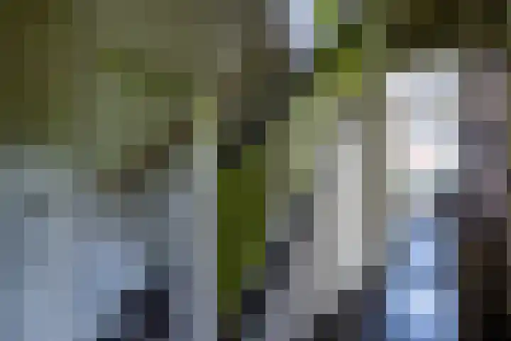 Kerkstraat 9 Peize thumbnail 22