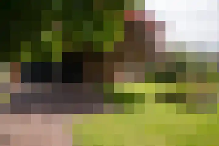 Kerkstraat 9 Peize thumbnail 5