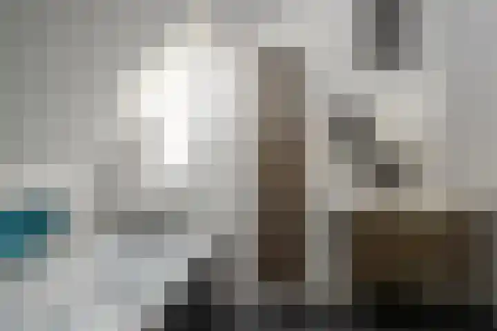 Kerkstraat 9 Peize thumbnail 55