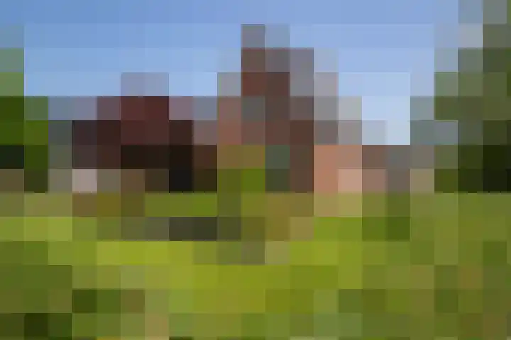 Kerkstraat 9 Peize thumbnail 66