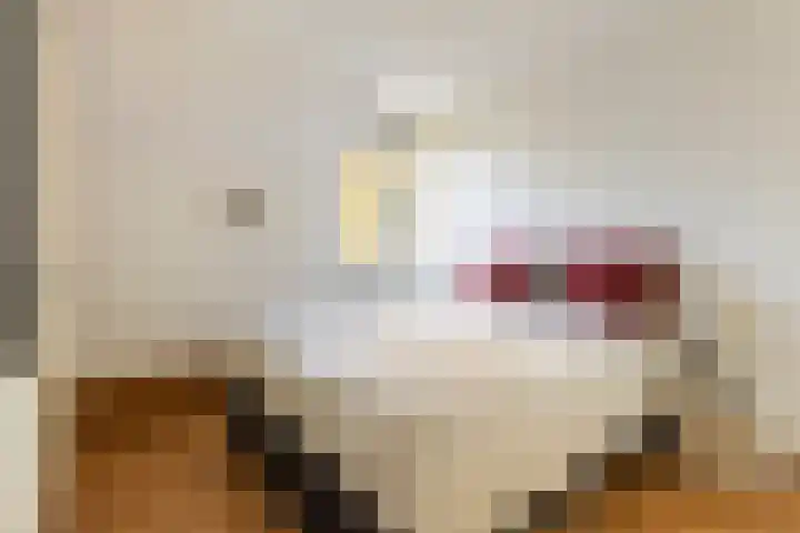 Kerkstraat 91 Zeeland thumbnail 4