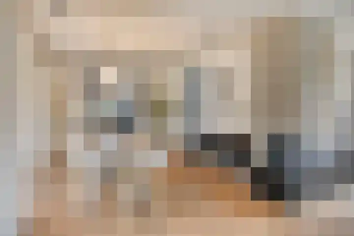 Kerkstraat 91 Zeeland thumbnail 9