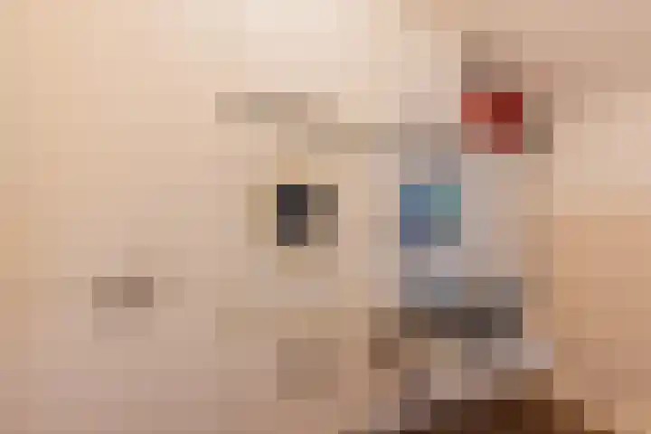 Kerkstraat 93 Drempt thumbnail 37