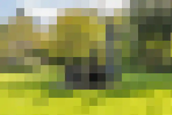 Kerkstraat 93 Drempt thumbnail 4