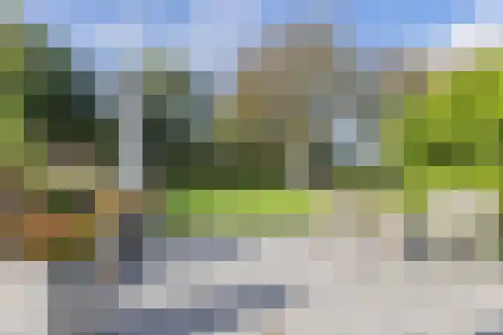Kerkstraat 93 Drempt thumbnail 50