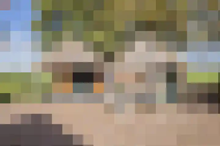 Kerkstraat 93 Drempt thumbnail 51