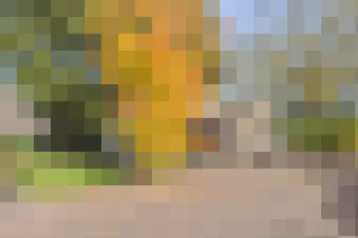 Kerkstraat 93 Drempt thumbnail 57