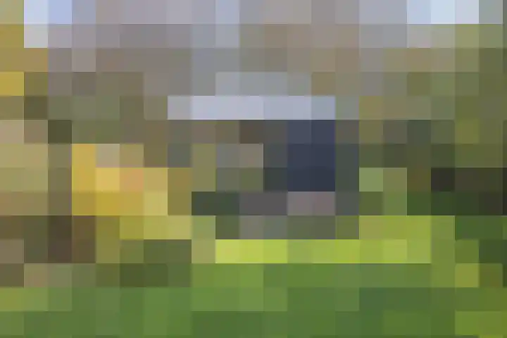Kerkstraat 93 Drempt thumbnail 63