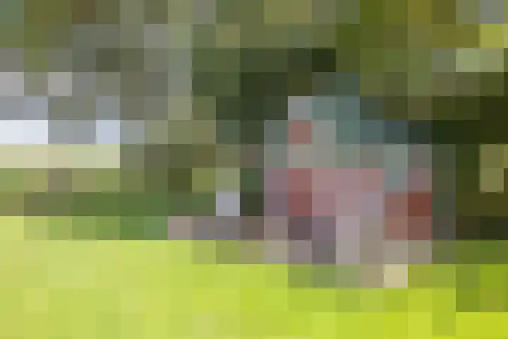 Kerkstraat 93 Drempt thumbnail 64