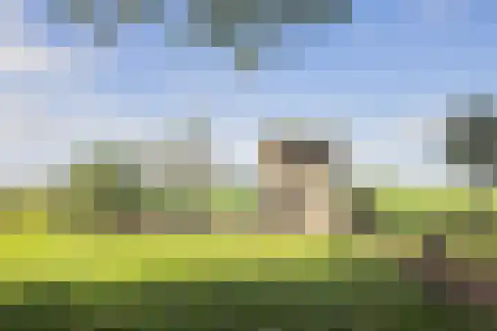 Kerkstraat 93 Drempt thumbnail 66