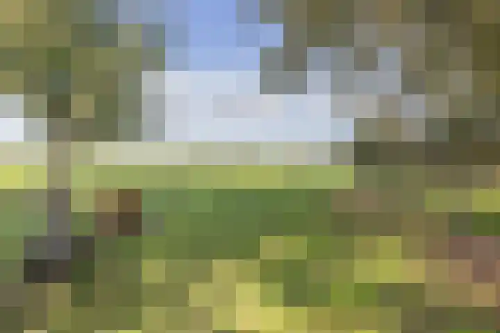 Kerkstraat 93 Drempt thumbnail 73