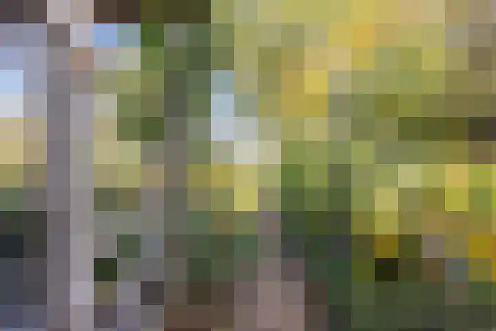 Kerkstraat 93 Drempt thumbnail 77