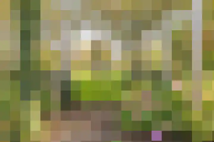 Kerkstraat 93 Drempt thumbnail 78