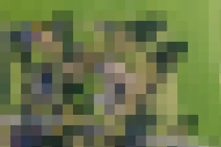 Kerkstraat 93 Drempt thumbnail 8