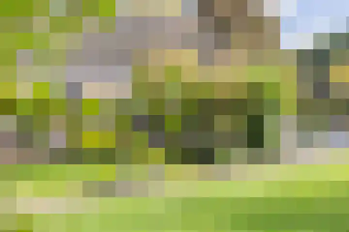 Kerkstraat 93 Drempt thumbnail 83