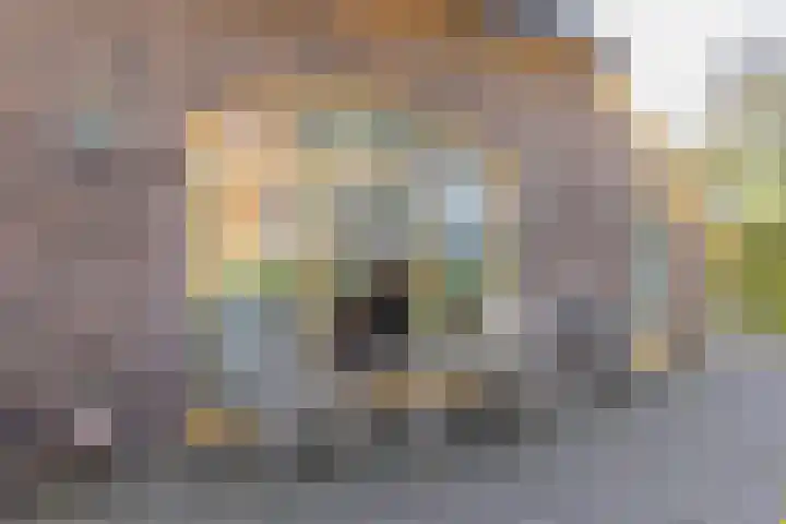 Kerkstraat 93 Drempt thumbnail 86