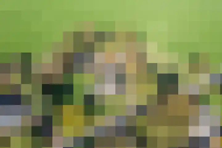 Kerkstraat 93 Drempt thumbnail 89