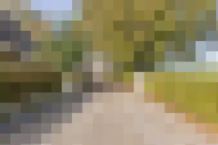 Kerkstraat 93 Drempt thumbnail 9