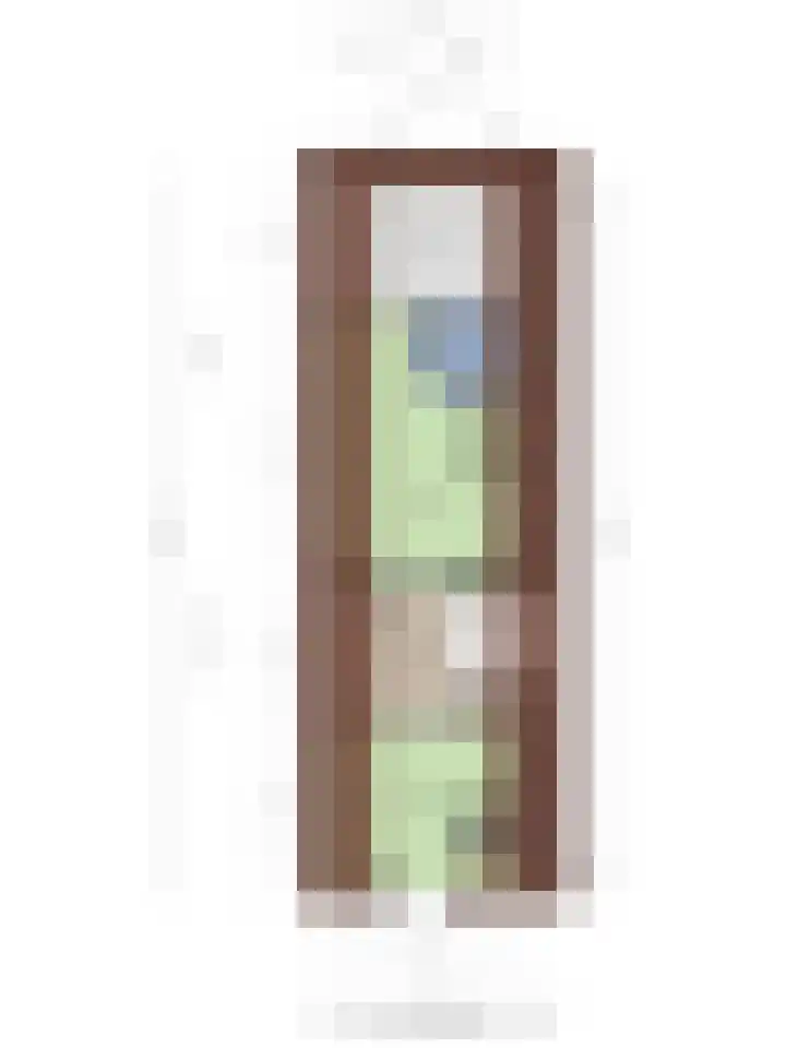 Kerkstraat 93 Drempt thumbnail 97
