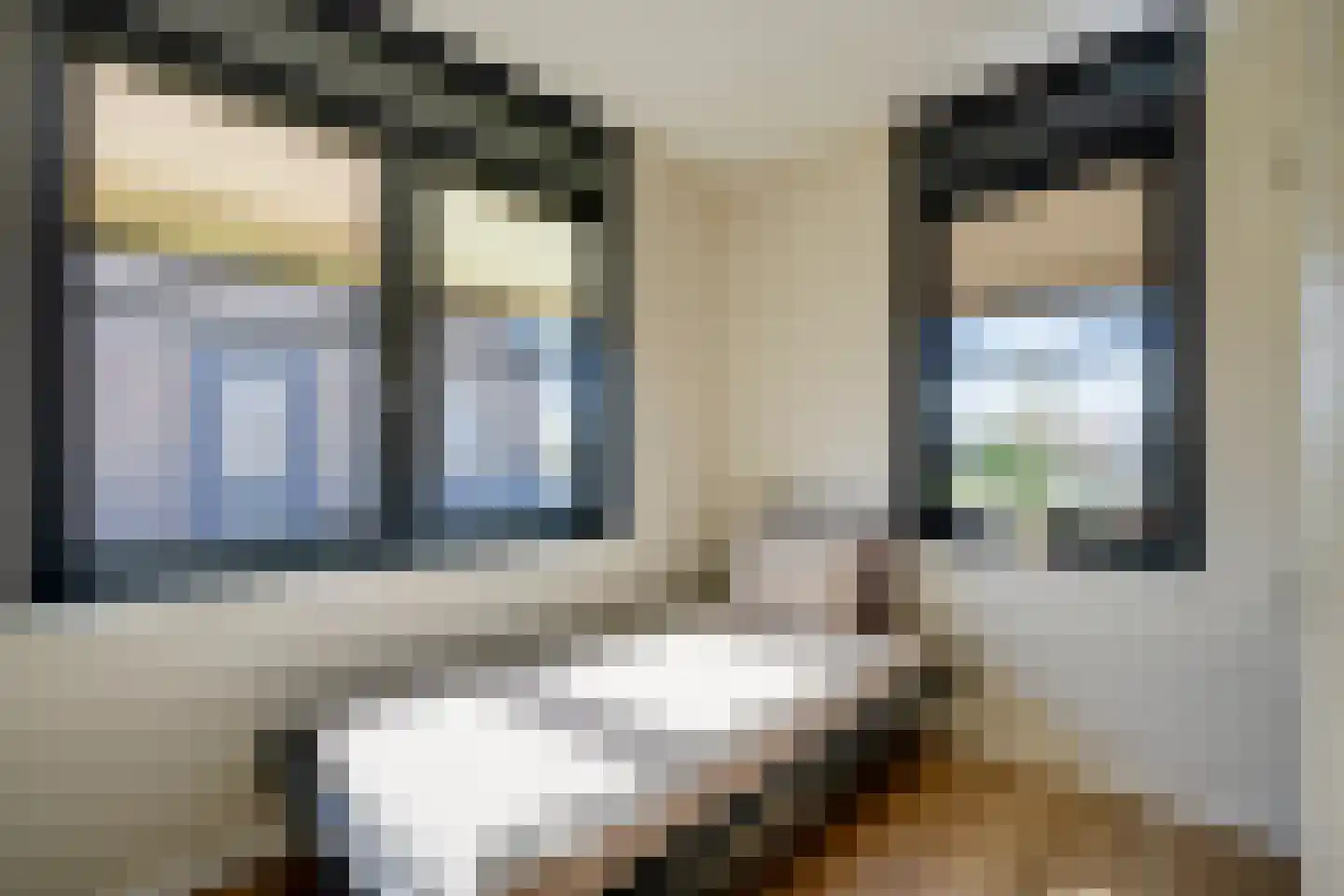 Kerkuil 15 Woudenberg thumbnail 31