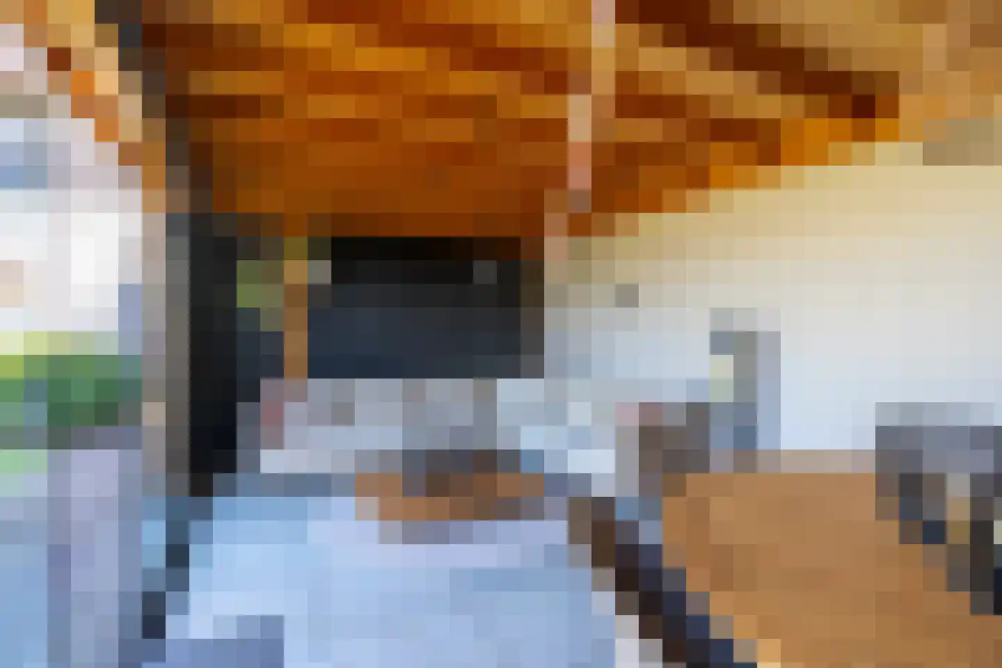 Kerkuil 15 Woudenberg thumbnail 41
