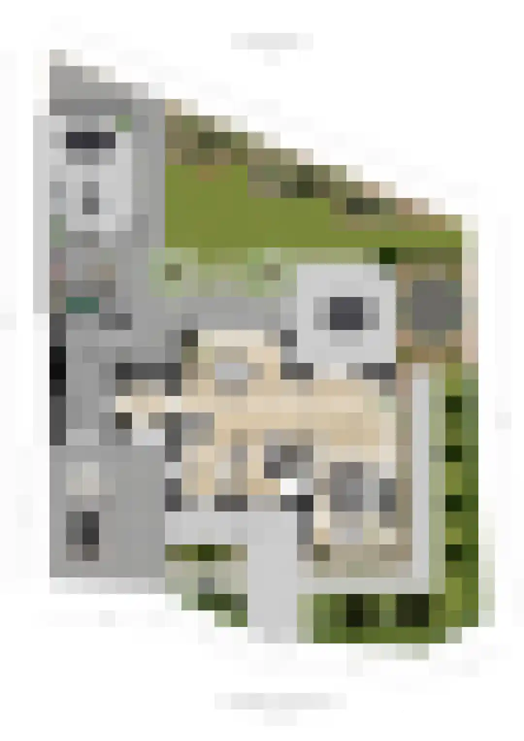 Kerkuil 15 Woudenberg thumbnail 49