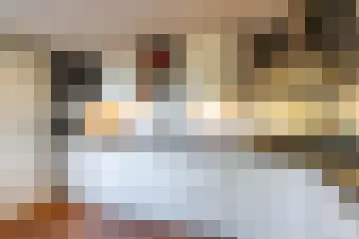 Kerkuil 32 Bedum thumbnail 22
