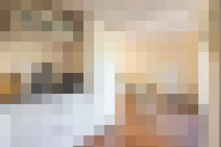 Kerkuil 32 Bedum thumbnail 24