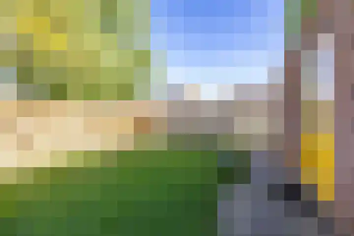 Kerkuil 32 Bedum thumbnail 32
