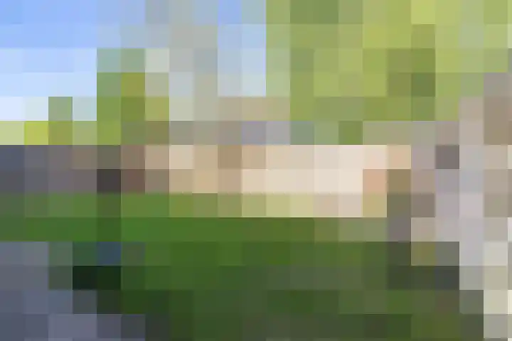 Kerkuil 32 Bedum thumbnail 33