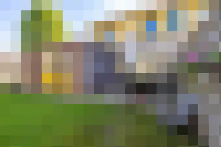 Kerkuil 32 Bedum thumbnail 34